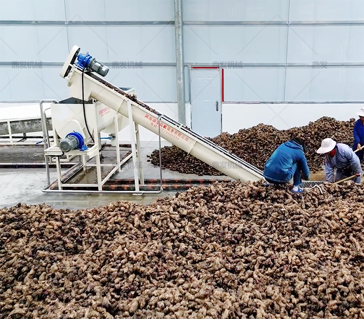 鼎發(fā)廣西河池芭蕉芋淀粉生產(chǎn)線運行現(xiàn)場