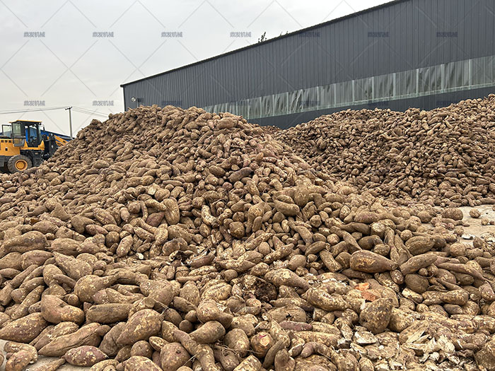 紅薯淀粉加工現(xiàn)場(chǎng) 紅薯淀粉加工現(xiàn)場(chǎng)